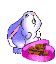 Gif animé Pâques lapin